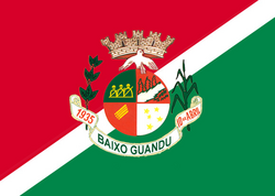 Flag of Baixo Guandu ES